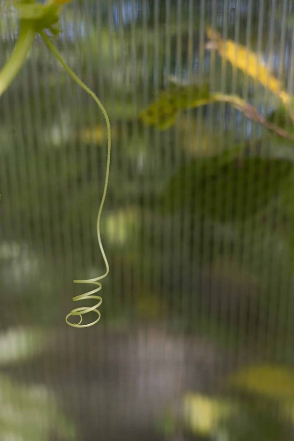 How Can Small UK Publishers Adapt to the Decline in Print Media Sales?